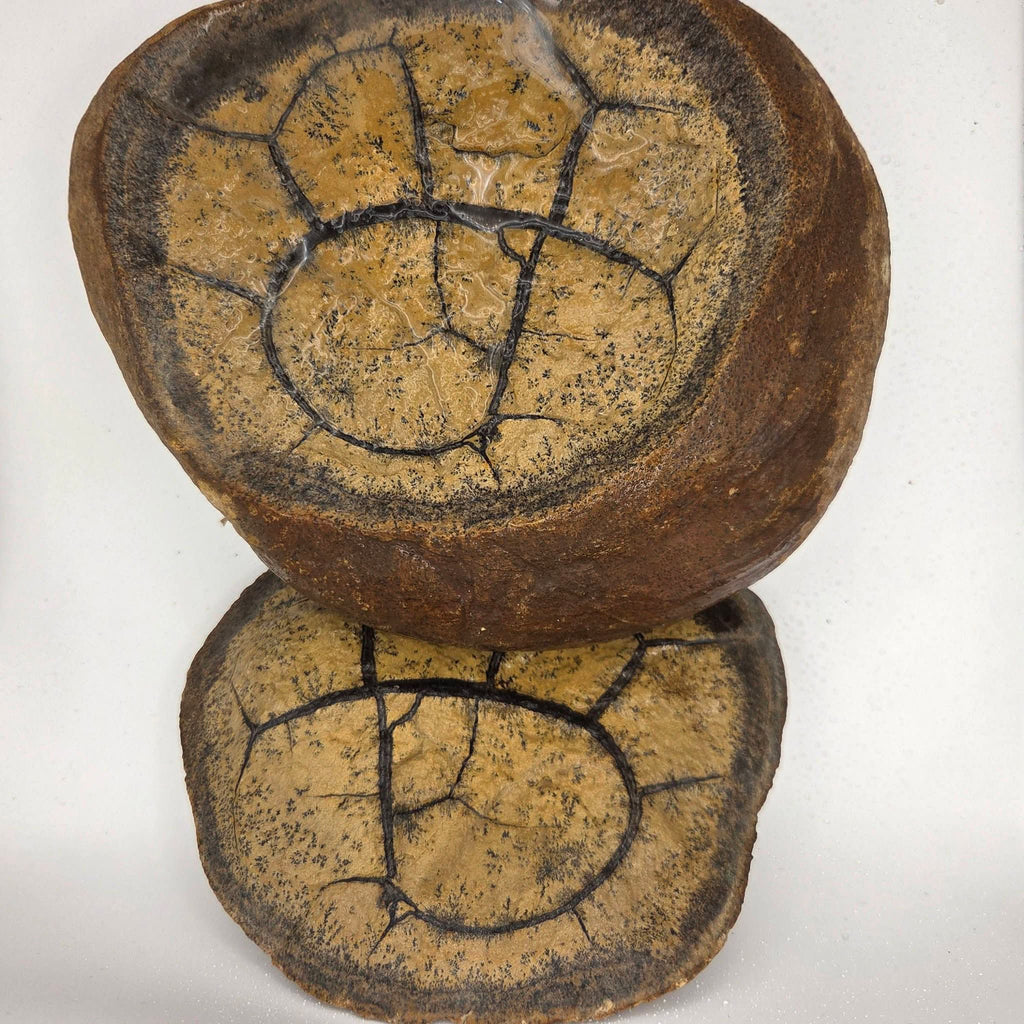 Bedazzle Mining Co "Dragon Egg"