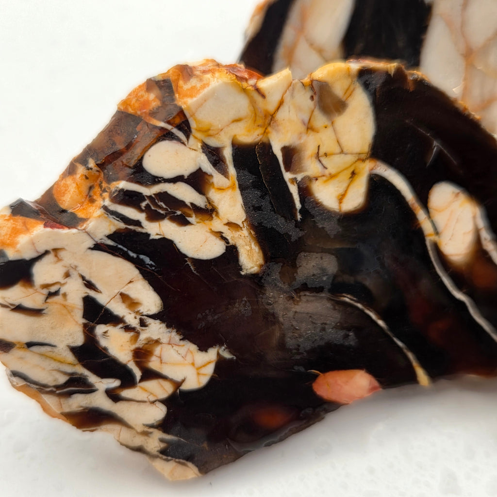 Australian Peanut Wood (Sold by the gram)