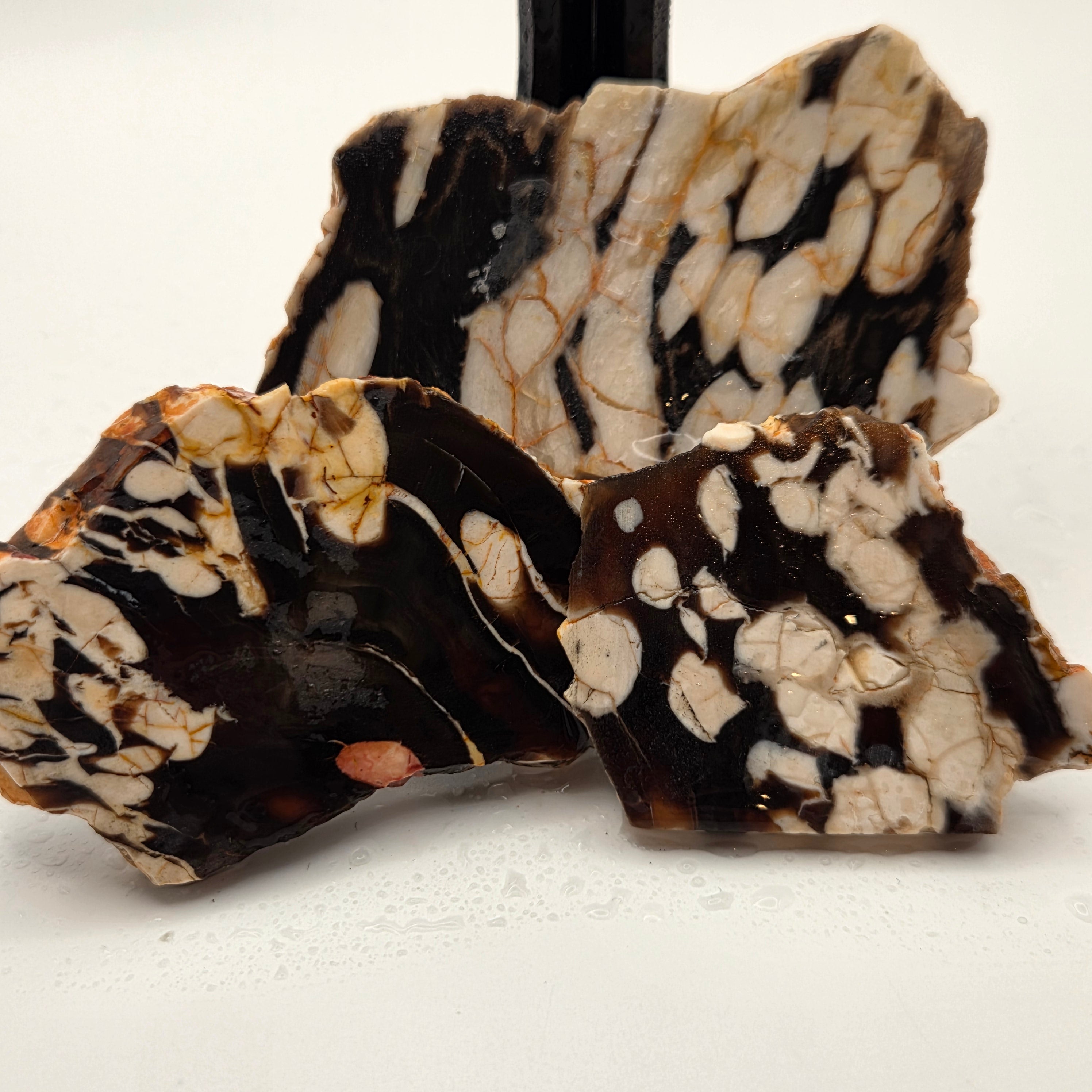 Australian Peanut Wood (Sold by the gram)