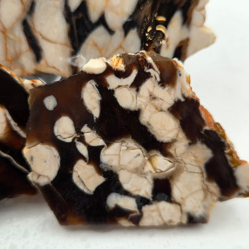 Australian Peanut Wood (Sold by the gram)